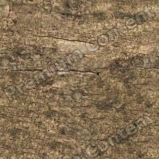 High Resolution Seamless Wood Texture 0001